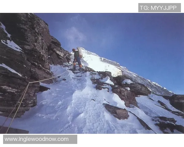杭州排球队逆袭全国锦标赛的辉煌历程与背后故事揭秘