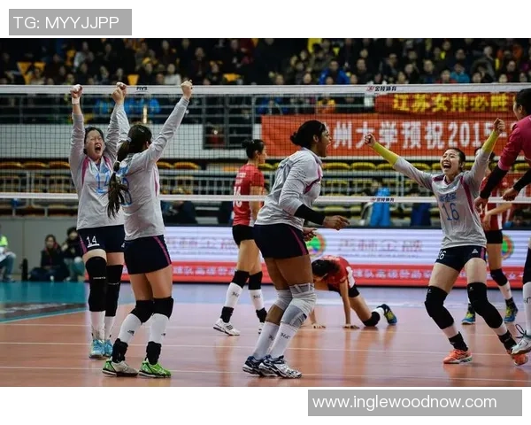 武汉排球队在奥运会上的技术表现分析与点评