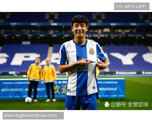 韩籍华人足球明星的崛起与影响力分析：从青训到职业生涯的全景探讨