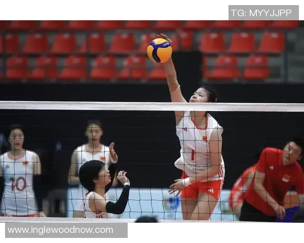 排球热议：武汉排球队的力量争议