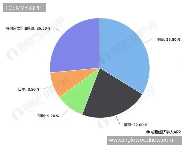 独家分析：成都排球队的个人能力对比