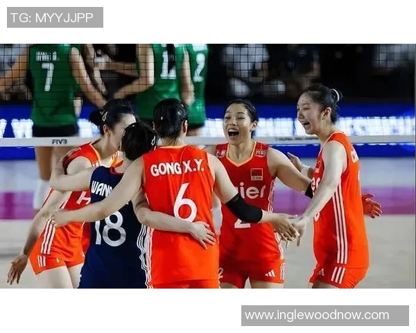 2026排球技术排名：武汉排球队创新高