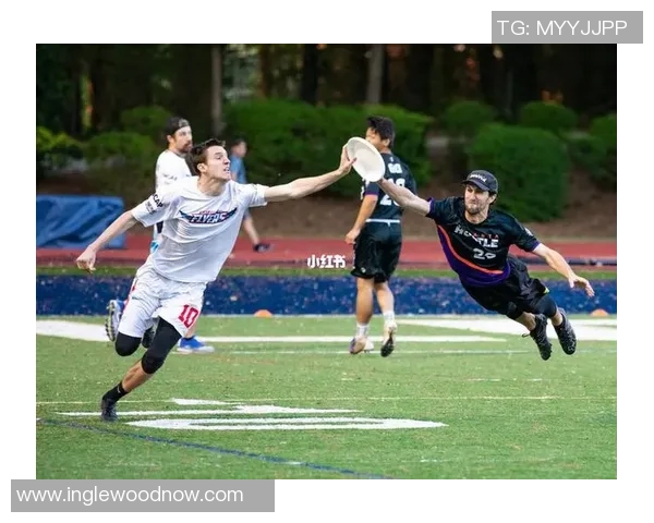 飞盘热议：上海飞盘队的耐力争议