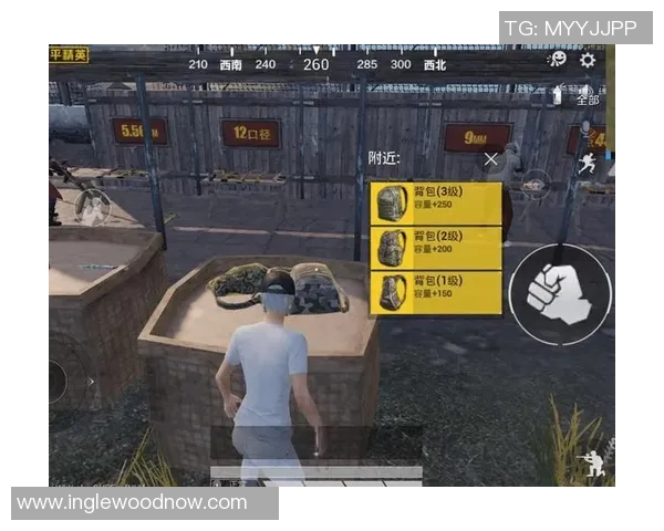 黄娜专访:回顾和平精英历程 黄娜专访:回顾和平精英历程