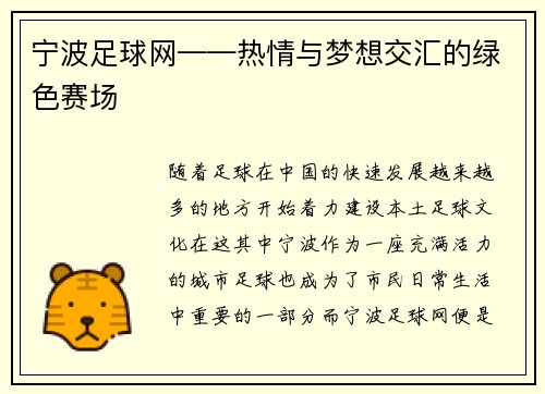 宁波足球网——热情与梦想交汇的绿色赛场
