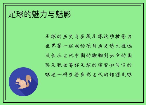 足球的魅力与魅影