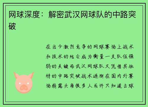 网球深度：解密武汉网球队的中路突破