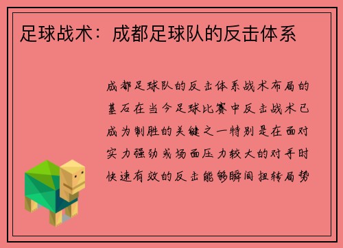 足球战术：成都足球队的反击体系