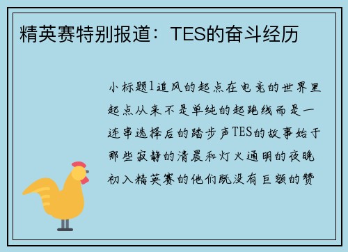 精英赛特别报道：TES的奋斗经历